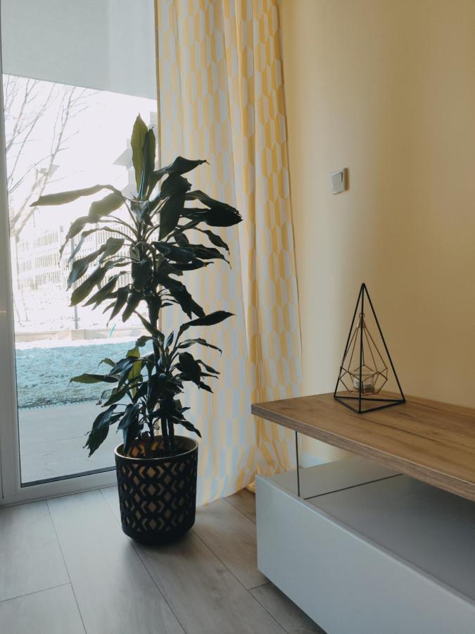 Przytulny Apartament Z Ogrodkiem Cracovie Extérieur photo
